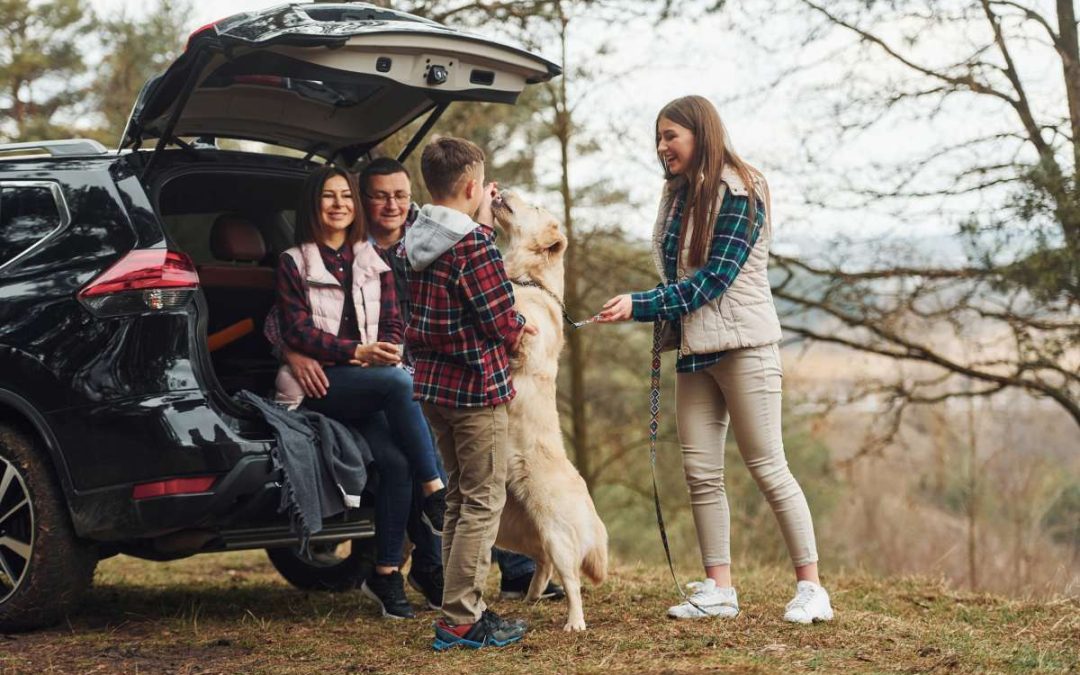 How To Plan The Perfect Staycation For The Family